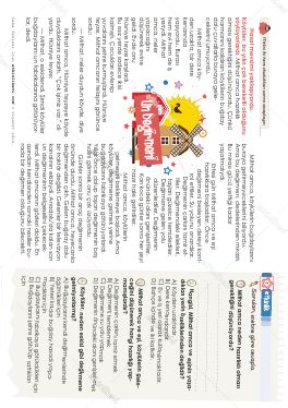 4.S�n�f Okudu�unu Anlama -41 Etkinli�i