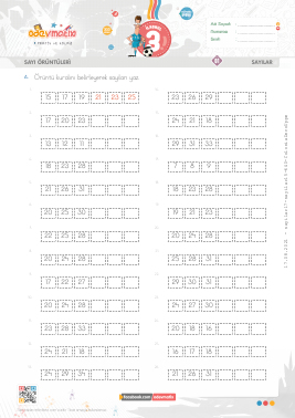 3.S�n�f Say� �r�nt�leri -2 Etkinli�i