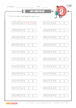 2.S�n�f Say� �r�nt�leri -1 Etkinli�i