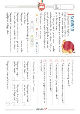 1.S�n�f Okudu�unu Anlama -41 Etkinli�i