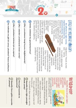 2.S�n�f Okudu�unu Anlama -67 Etkinli�i