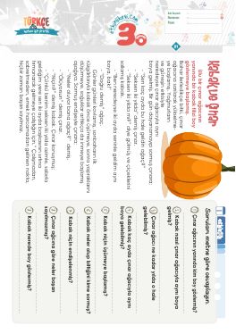 3.S�n�f Okudu�unu Anlama -19 Etkinli�i